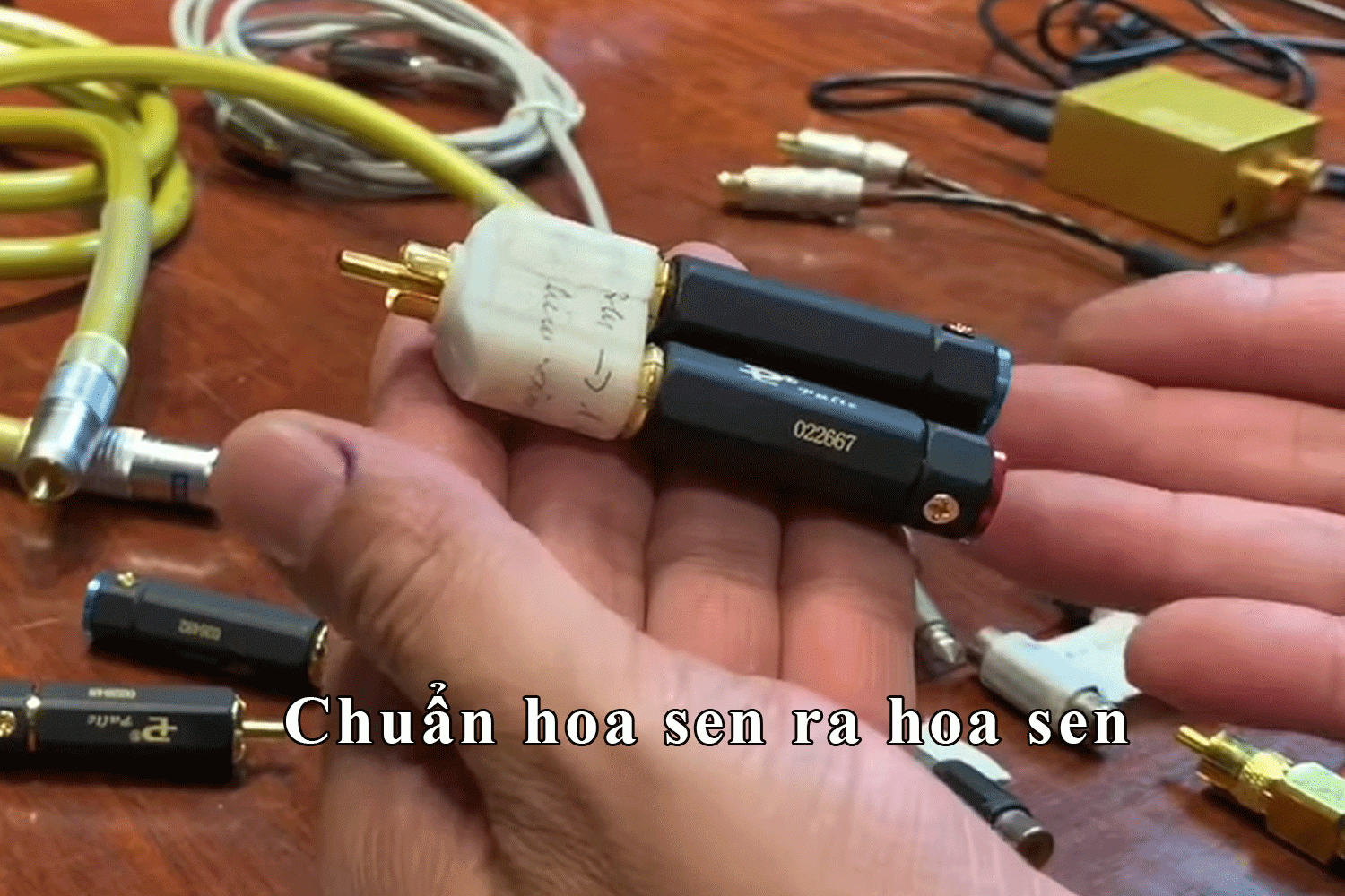 Chuẩn hoa sen ra hoa sen