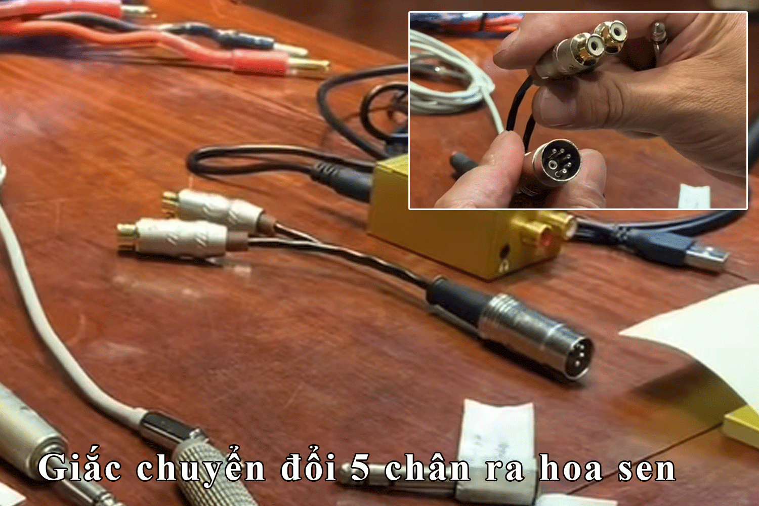 Giắc chuyển đổi 5 chân ra hoa sen