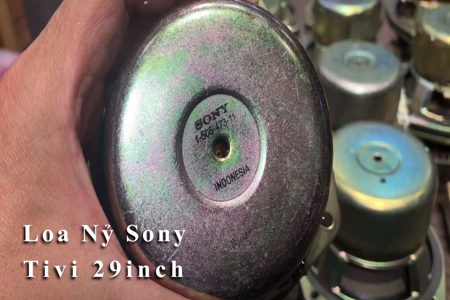 Loa Nỷ Sony Tivi 29inch