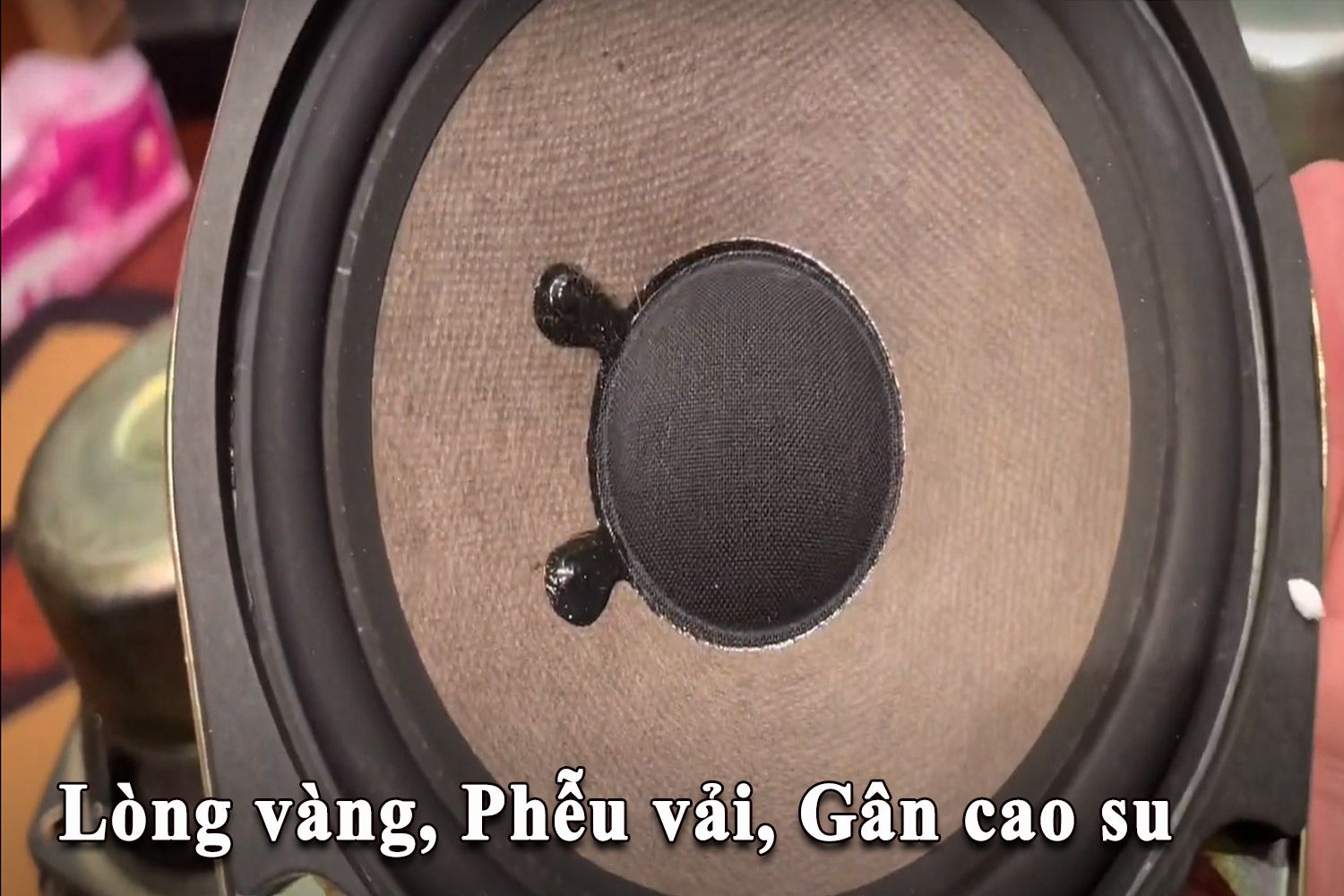 Loa Nỷ Sony