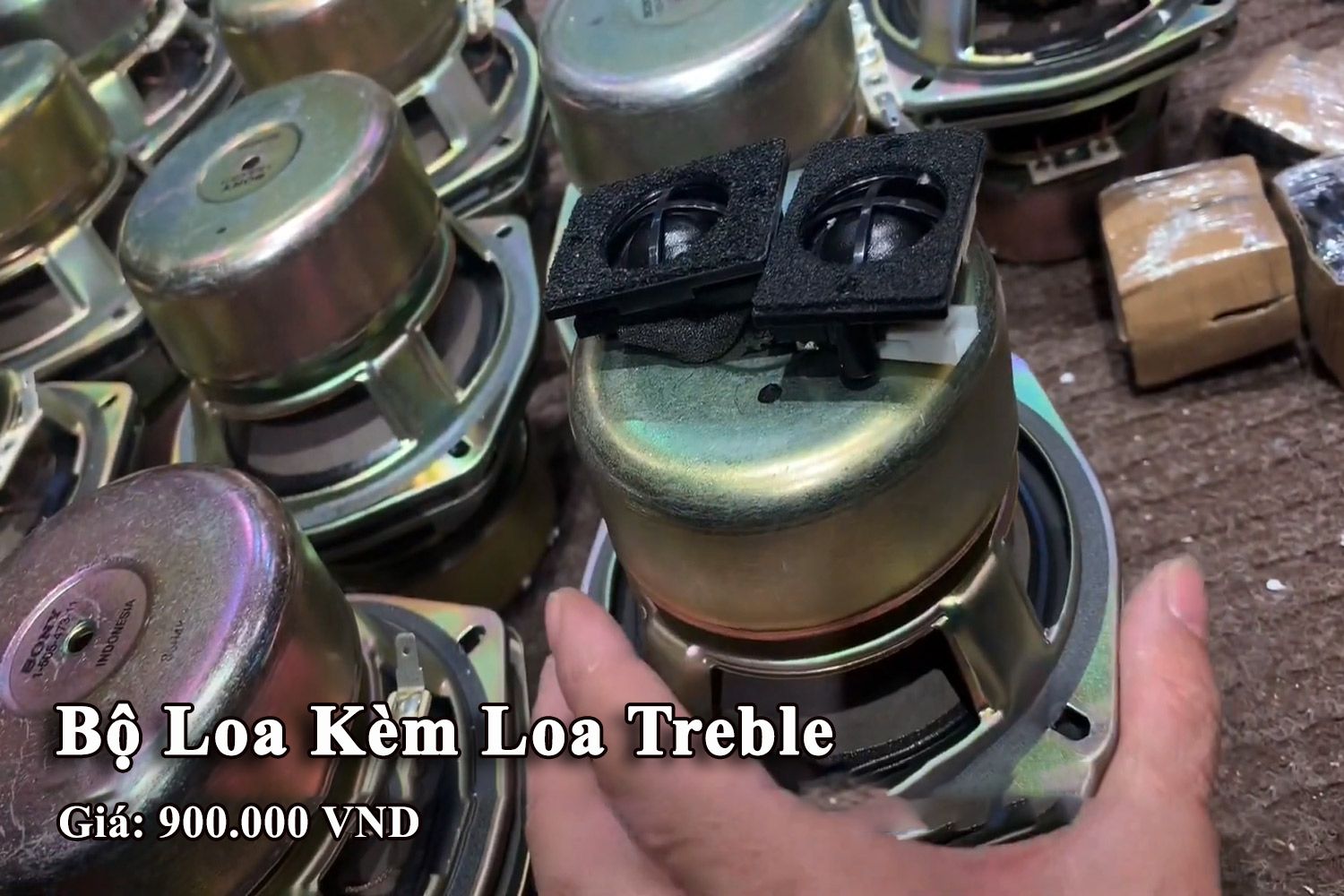 Loa Nỷ Sony