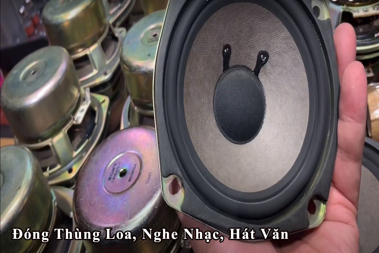 Loa Nỷ Sony