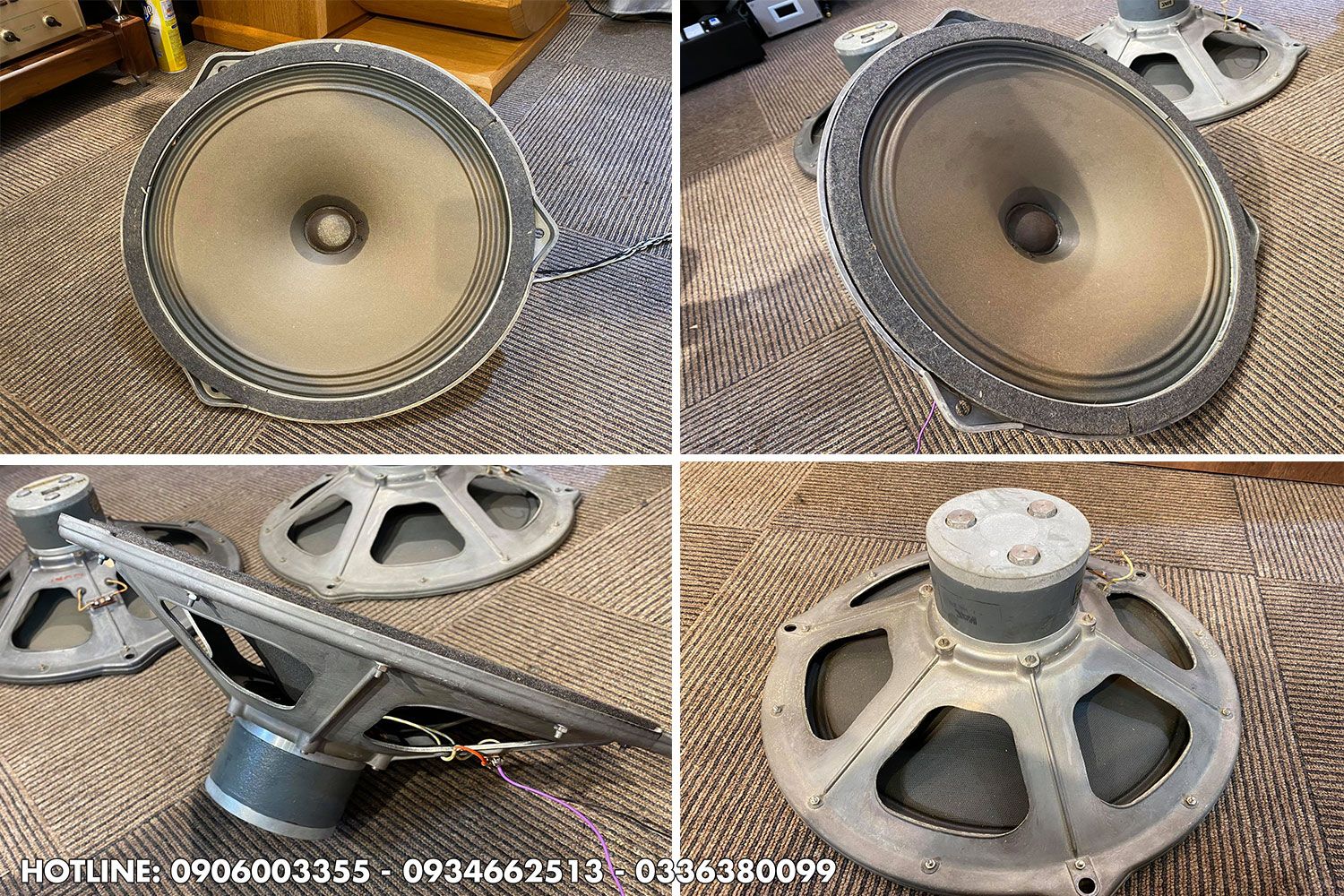 Loa Siemens Klang Film 405