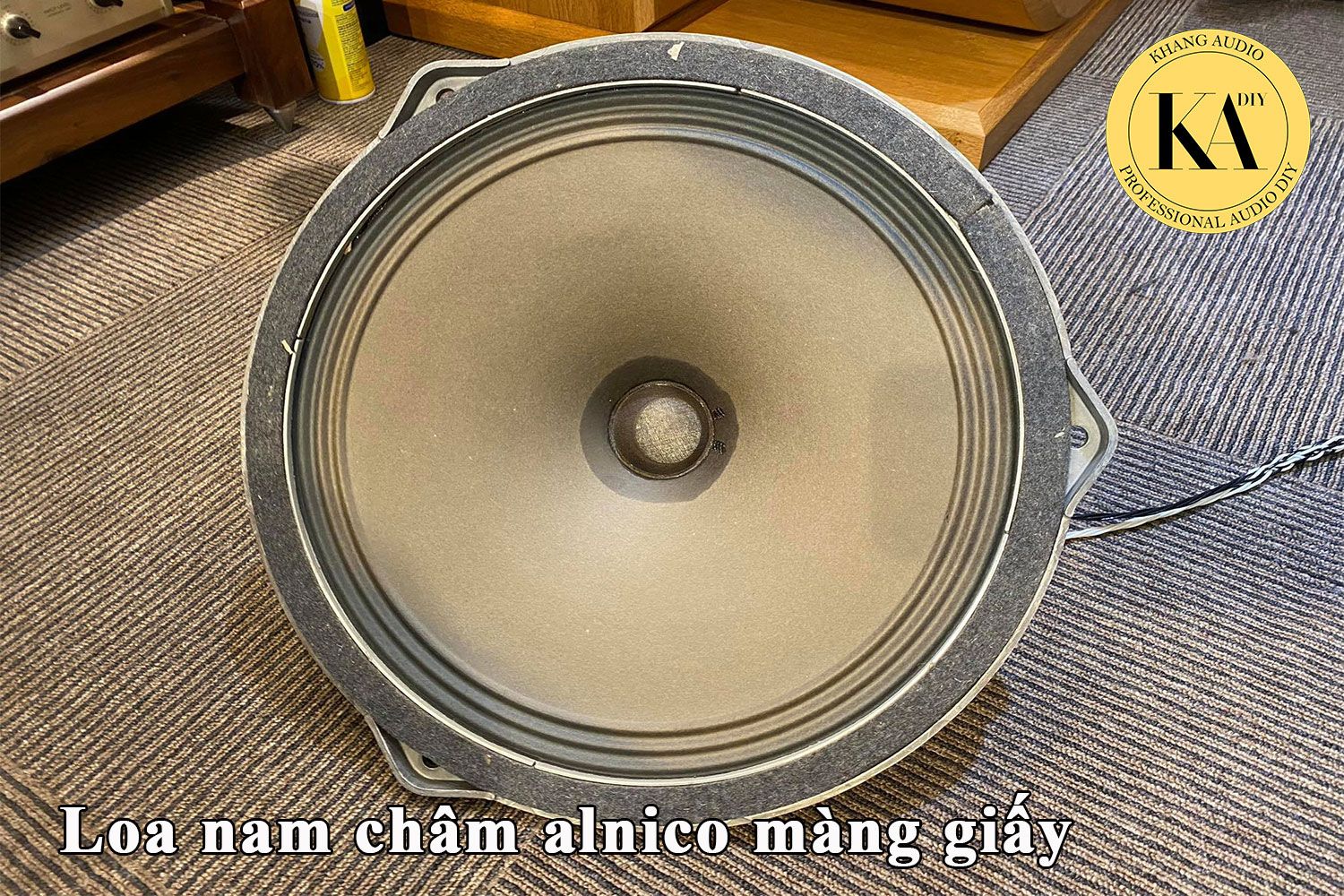 Loa Siemens Klang Film 405 nam châm alnico màng giấy