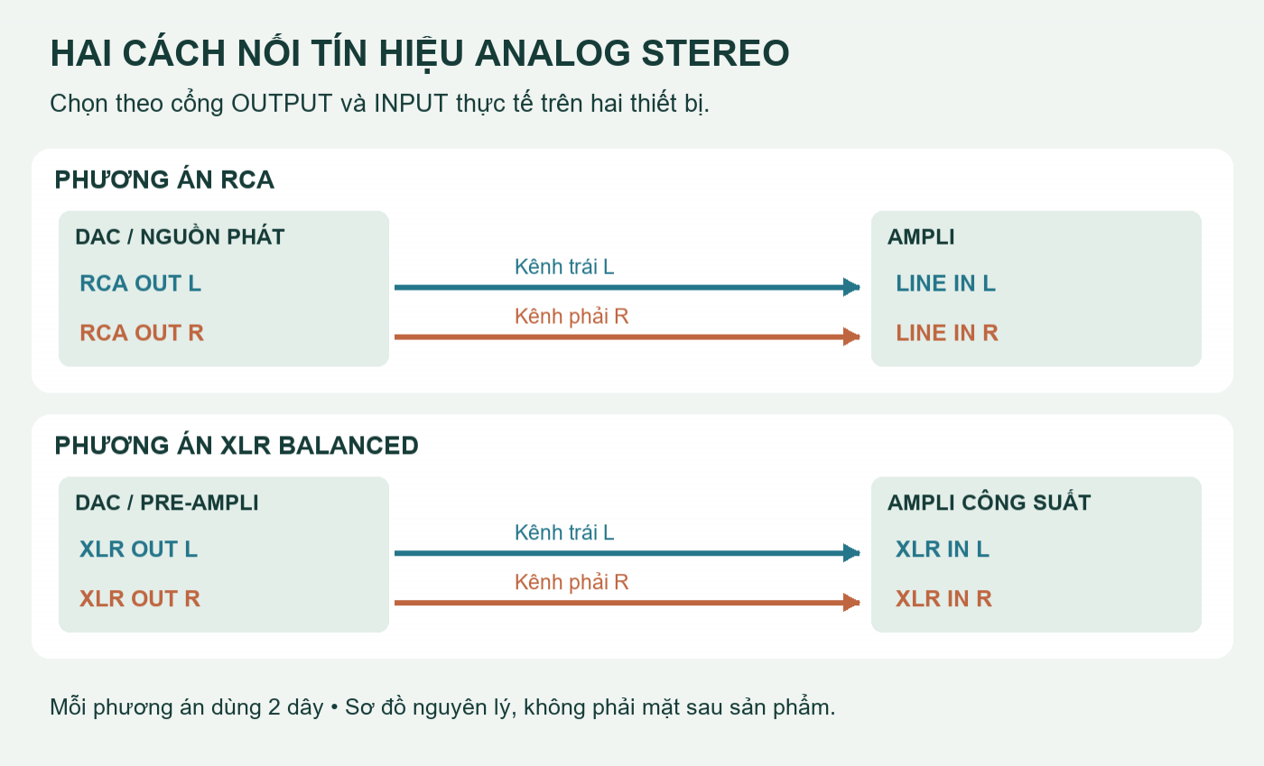 Hai phương án nối DAC với ampli: cặp RCA L R hoặc cặp XLR balanced L R