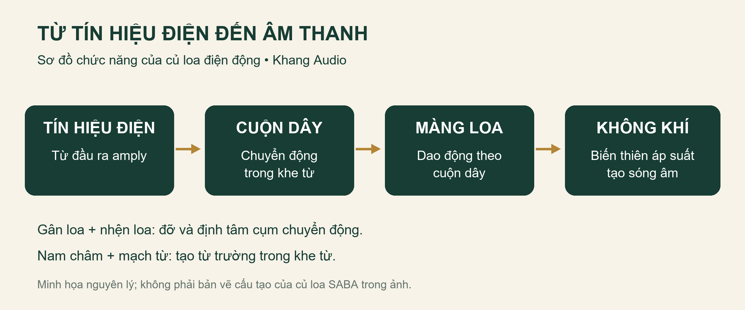 Tín hiệu từ amply làm cuộn dây và màng loa chuyển động, tạo sóng âm trong không khí
