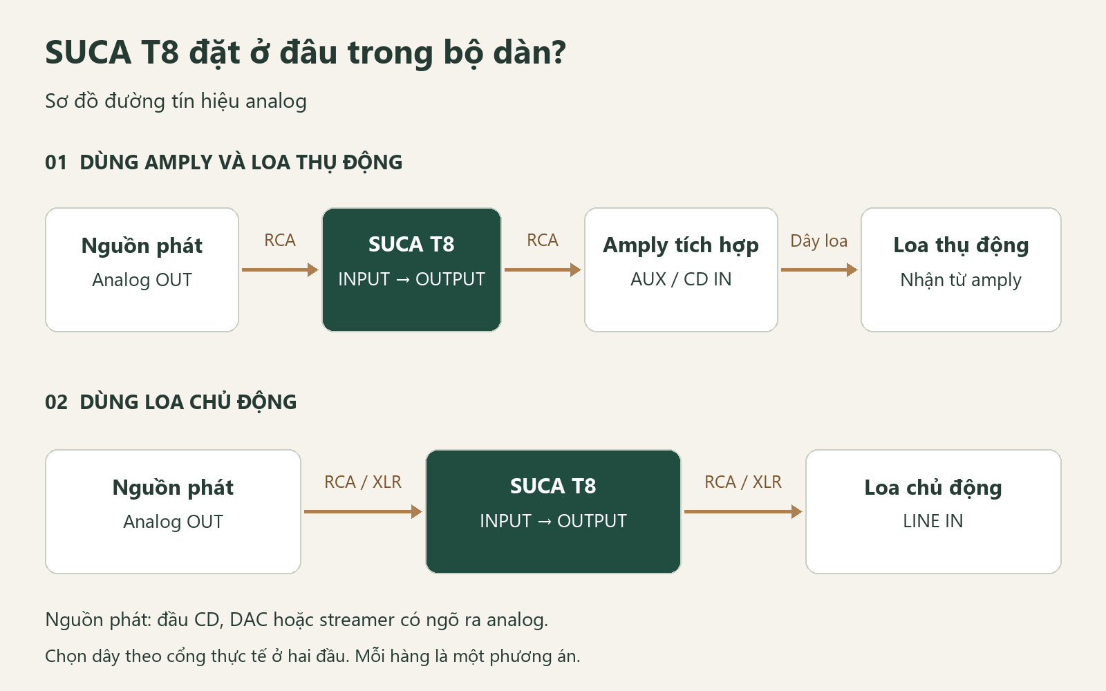 Hai cách ghép SUCA T8: qua amply tới loa thụ động, hoặc nối tới đầu vào line của loa chủ động
