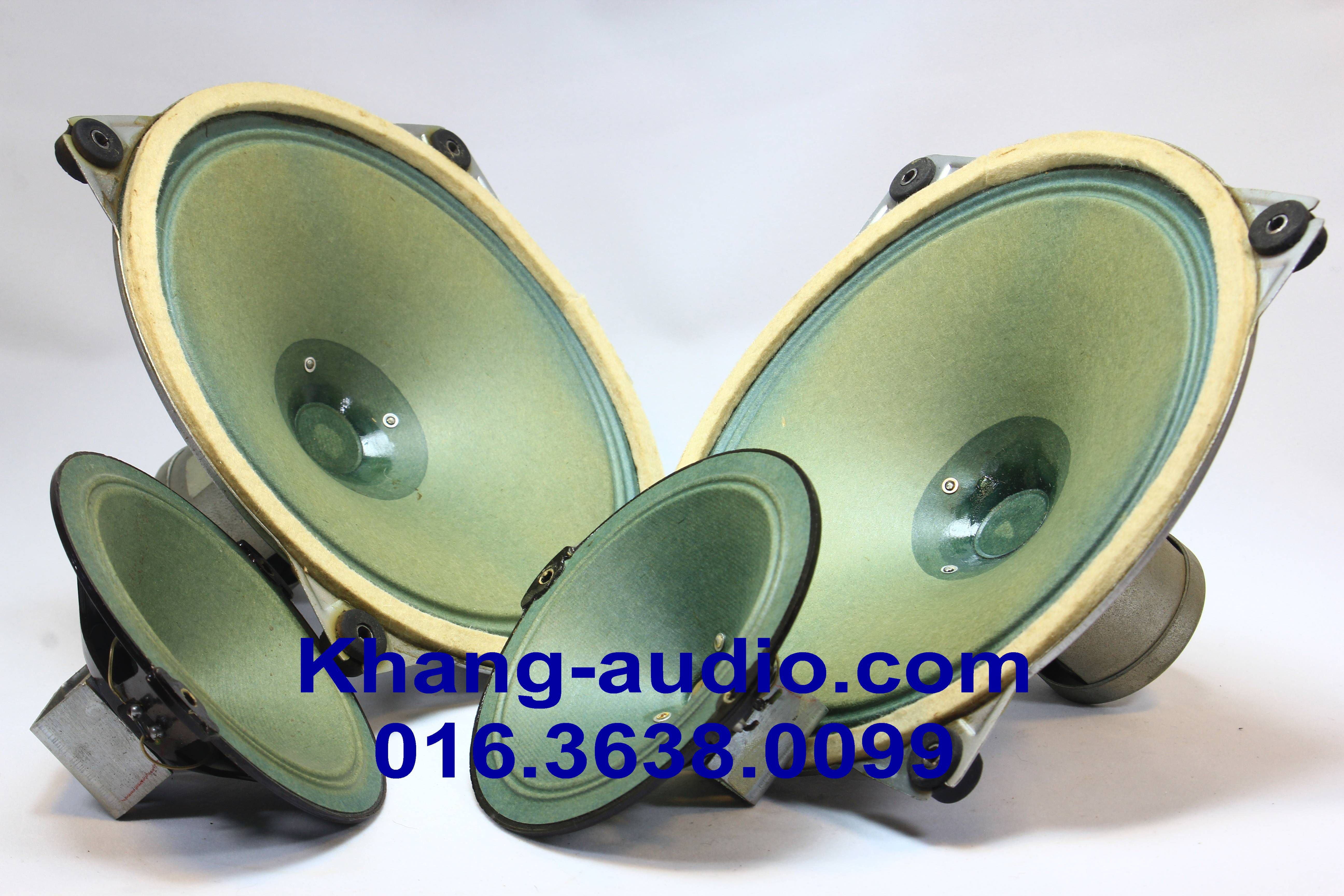 Bộ Loa Toàn Dải SABA Greencones 20cm và Treble 10cm