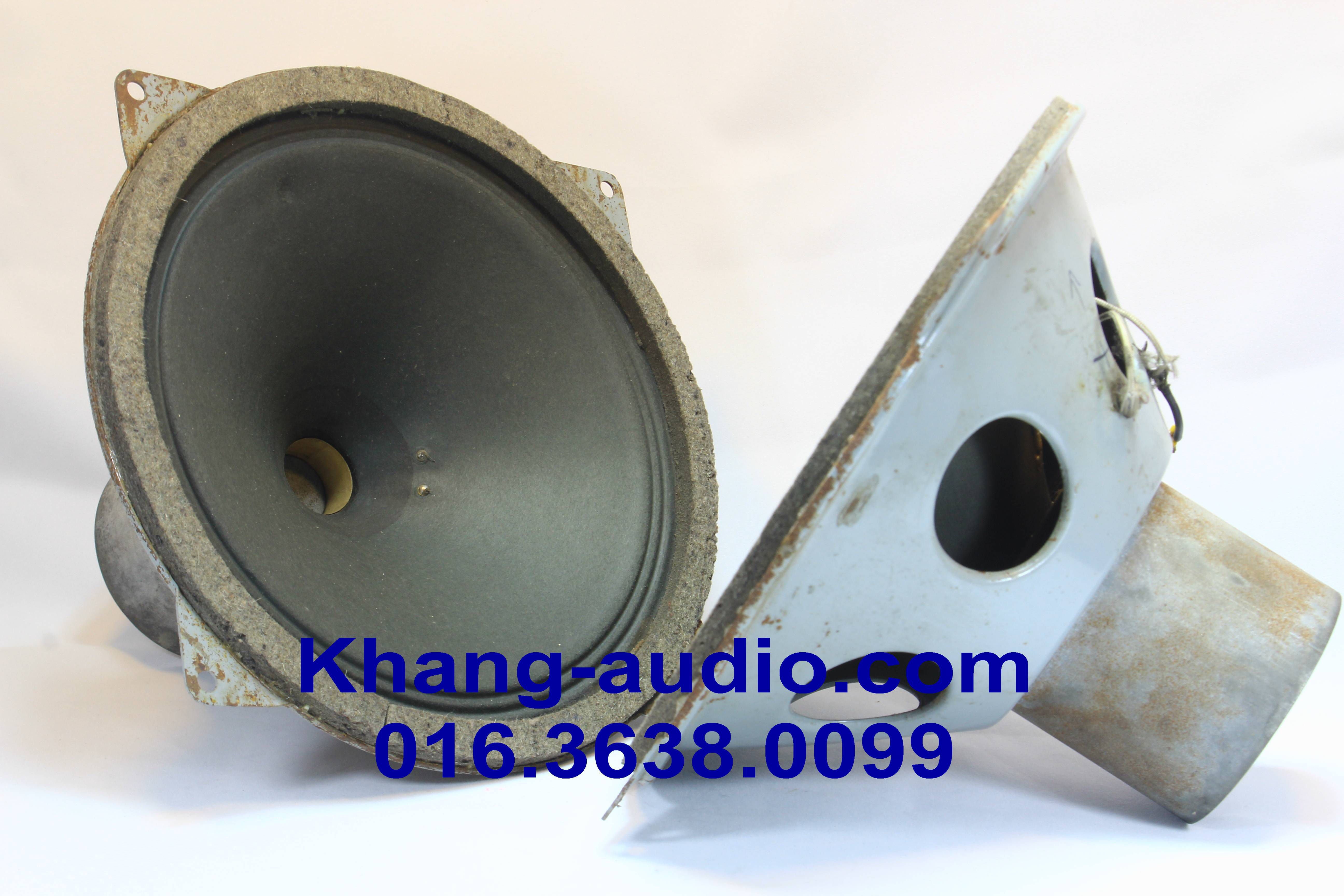 Loa Toàn Dải FEHO 25cm AlNiCo 01
