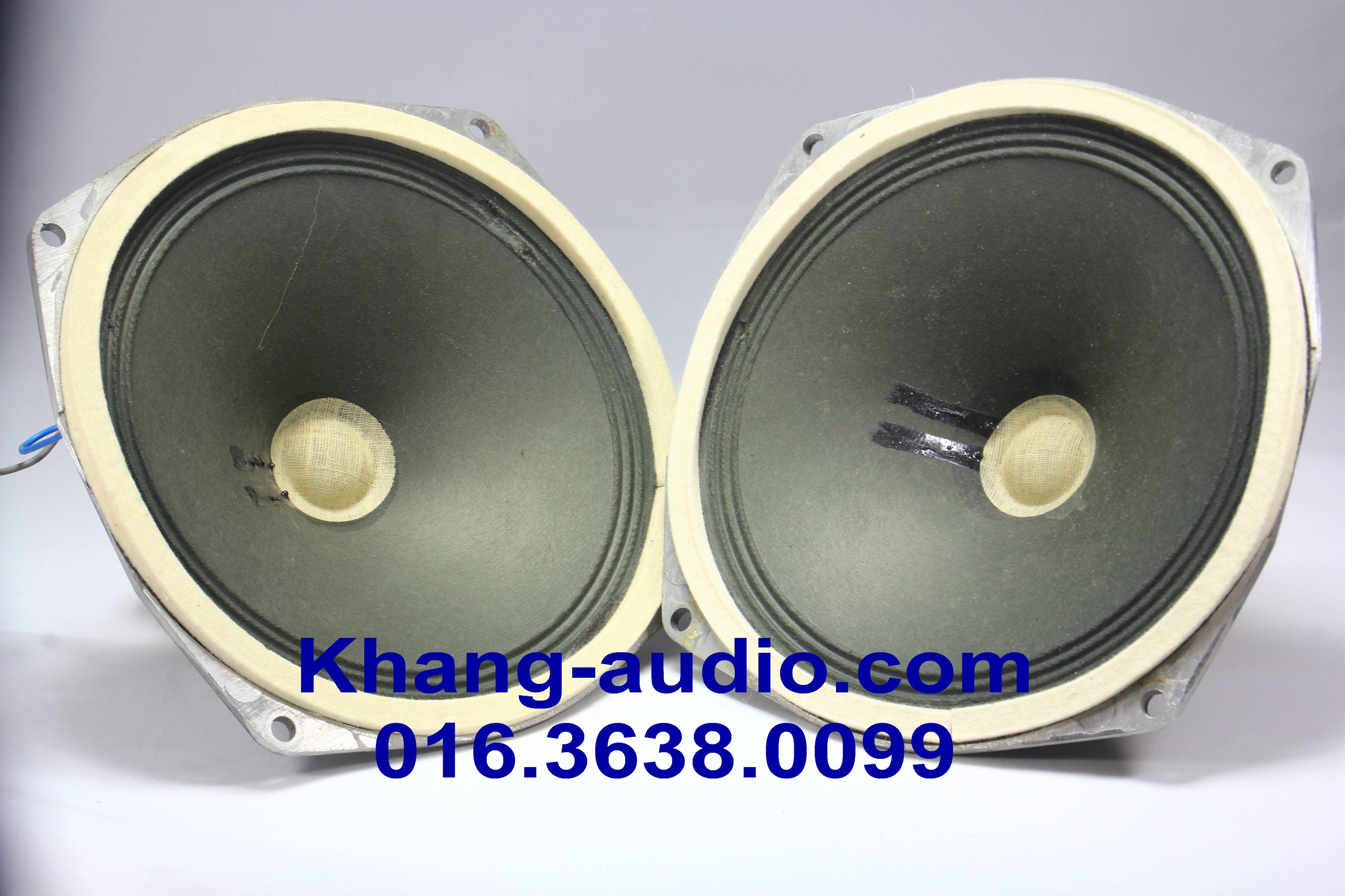 Loa Toàn Dải SIEMENS 22cm NT3 Nam Châm ALNICO
