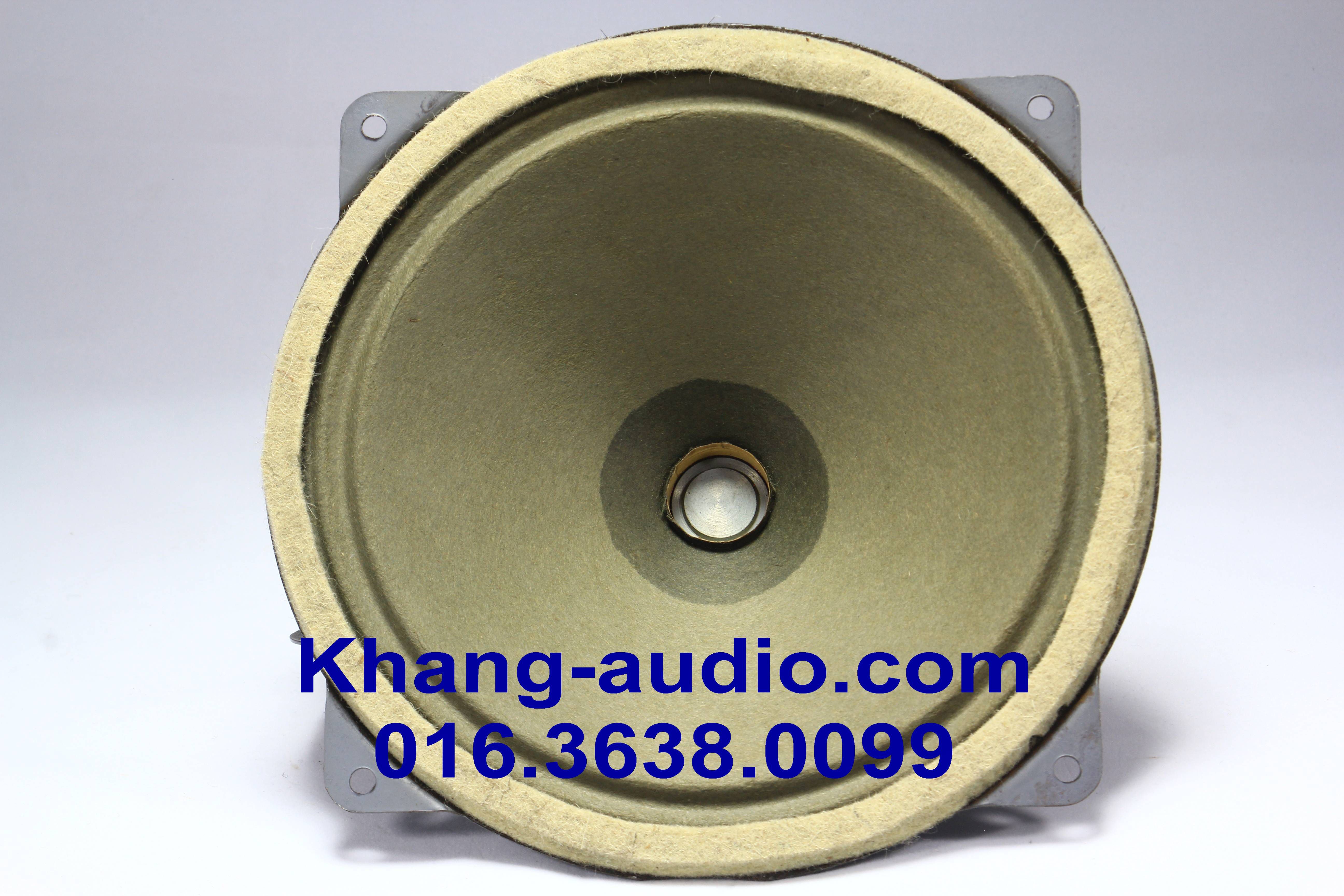 Củ Loa Toàn Dải SIEMENS KLANGFILM 22cm Nam Châm AlNiCo NT3 