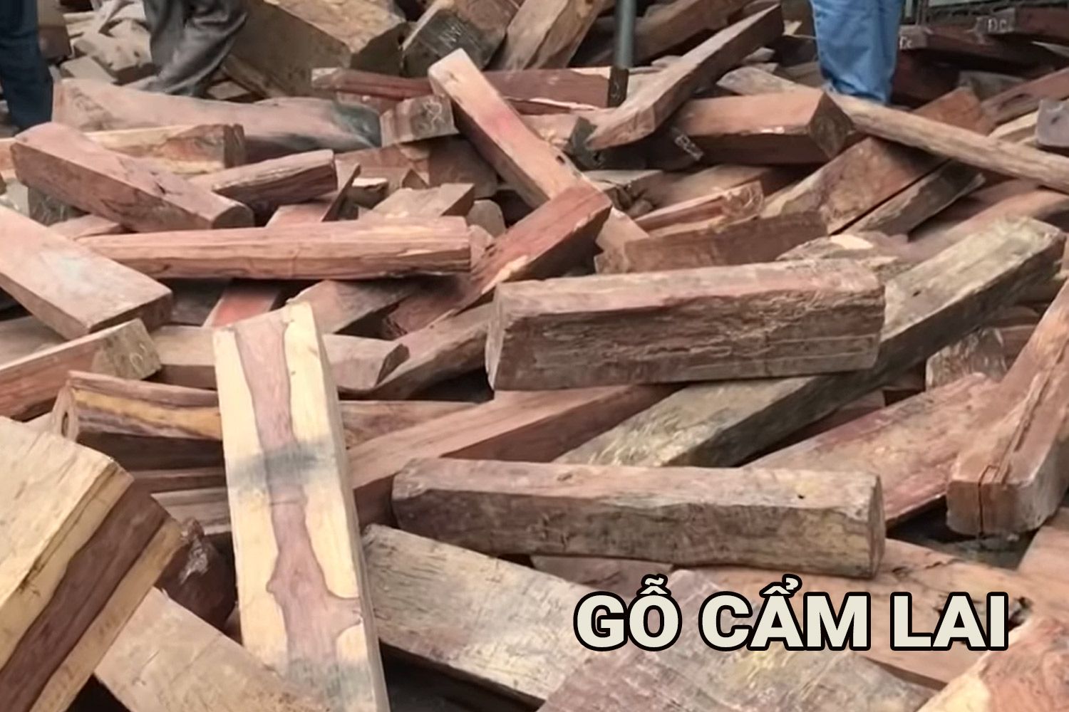 Làm Sân Amply Đèn