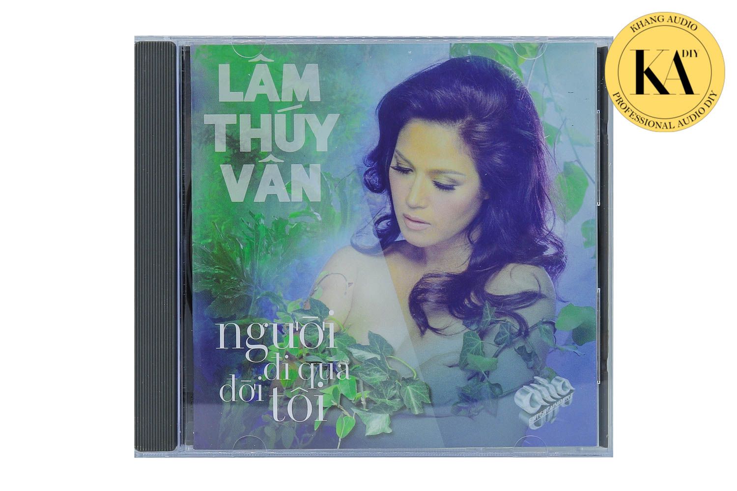 Người Đi Qua Đời Tôi - Lâm Thúy Vân