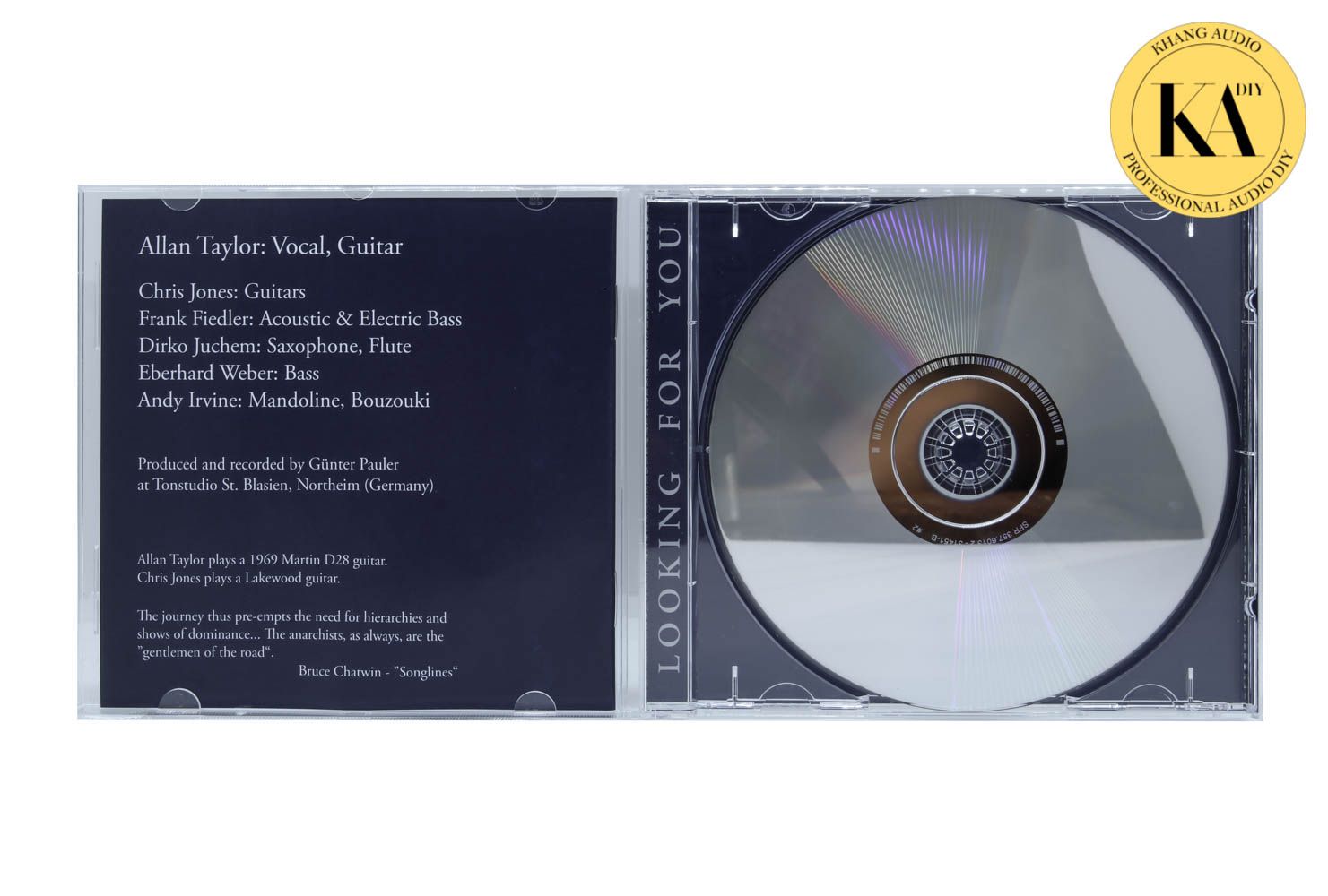 Looking For You - Allan Taylor