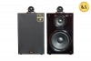 Loa Bookshelf Karaoke Acoustic A28-G
