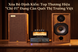 Xóa Bỏ Định Kiến: Top Thương Hiệu 