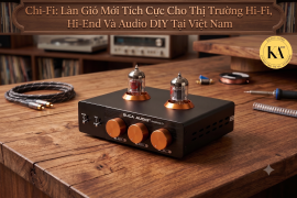 Chi-Fi: Làn Gió Mới Tích Cực Cho Thị Trường Hi-Fi, Hi-End Và Audio DIY Tại Việt Nam