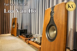 Tại Sao Gọi Là Loa Ván Hở