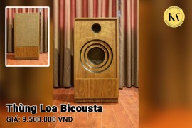 Thùng Loa Bicousta