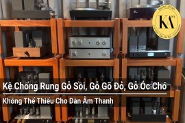 6 Giải Pháp Với Kệ Audio Gỗ Gõ Đỏ Chân Đinh Chống Rung