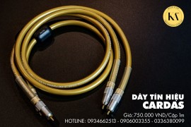 TẠI SAO DÂY TÍN HIỆU ÂM THANH (DÂY AV) DIY ĐƯỢC NHIỀU NGƯỜI CHƠI AUDIO LỰA CHỌN.